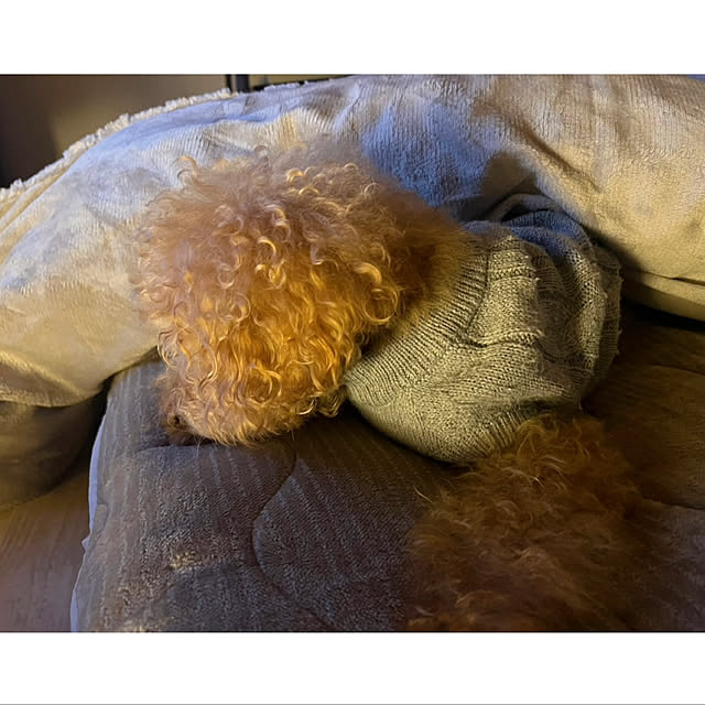 rookuさんの部屋