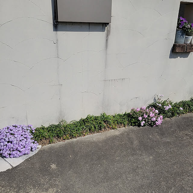 natyenaoさんの実例写真