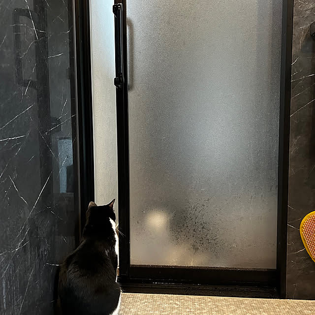 porinさんの部屋