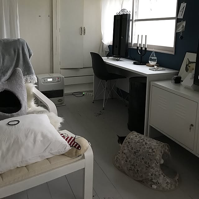 Shihoさんの実例写真