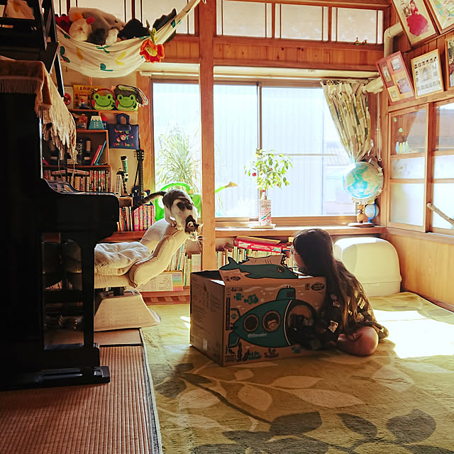 kikuさんの実例写真