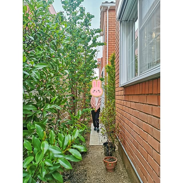 monchanさんの実例写真