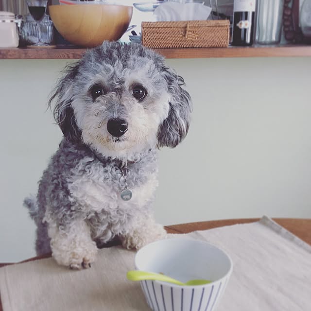 Fumikaさんの実例写真