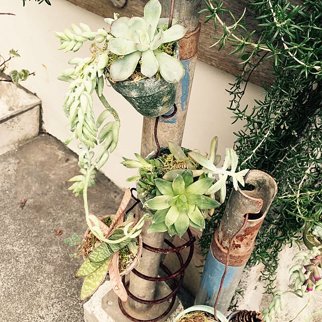 GreenWorksさんの実例写真