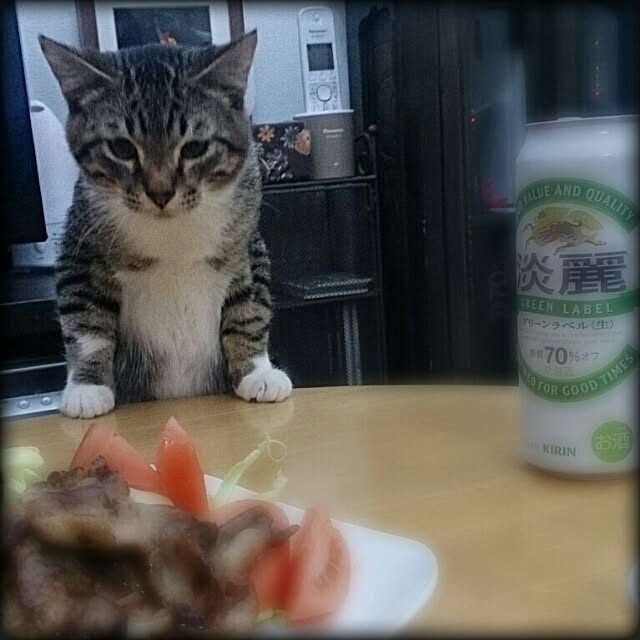 Lukiさんの実例写真