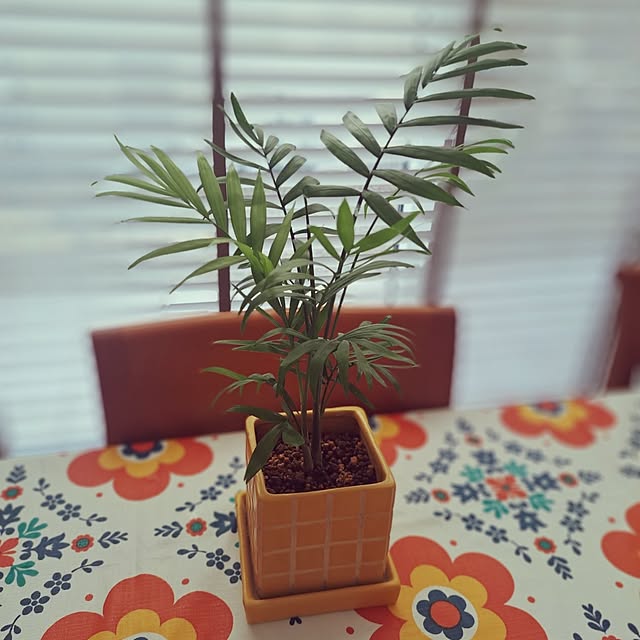 sakura_3さんの実例写真