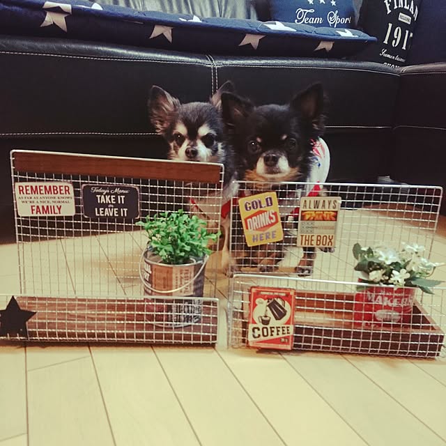 lovepeaceさんの実例写真