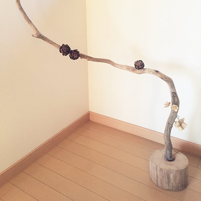 RYUBOKKURIさんの実例写真
