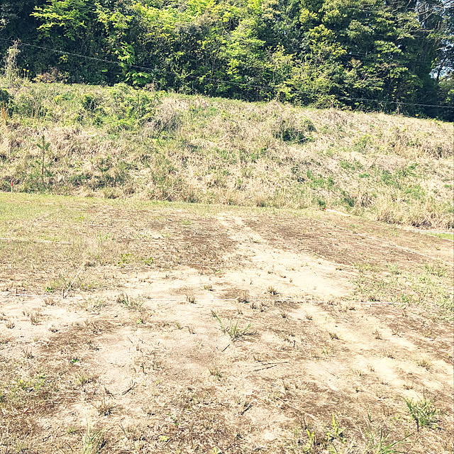 hiroさんの実例写真