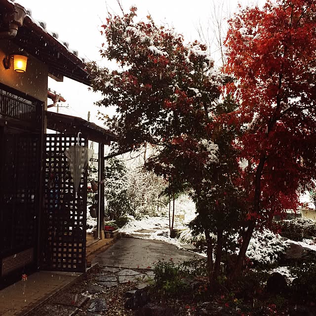k.yamaさんの実例写真