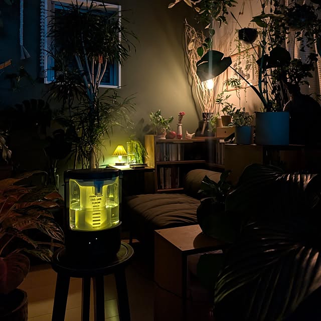 ayamameさんの部屋