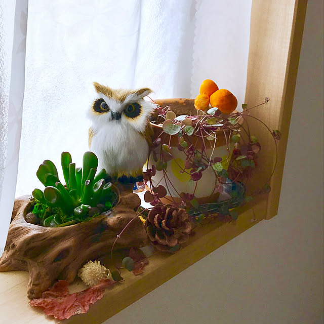 fuuさんの実例写真
