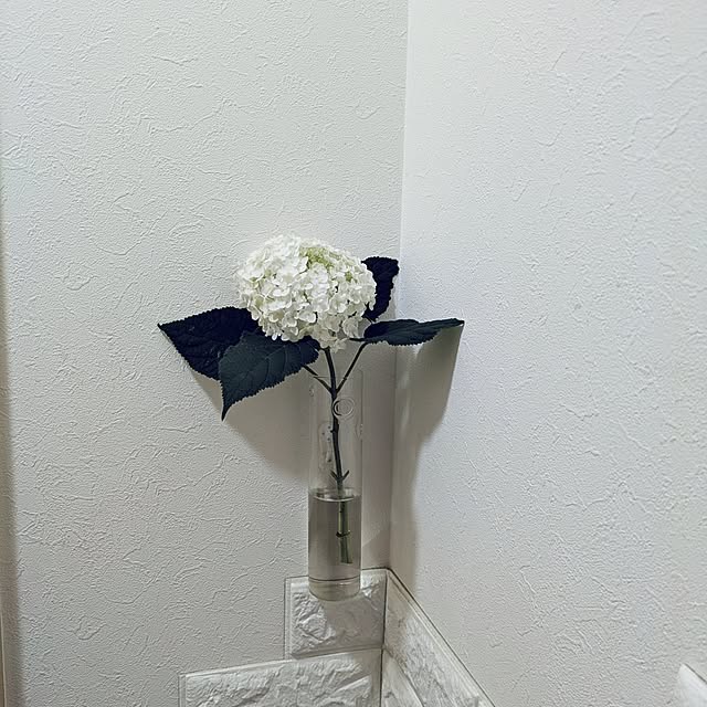 Shion+さんの実例写真