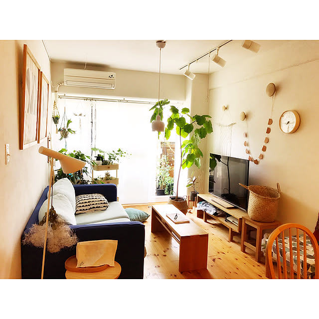 Hisayoさんの実例写真
