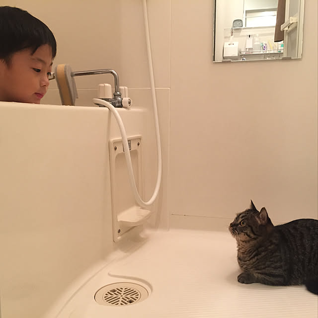 nocomomさんの実例写真