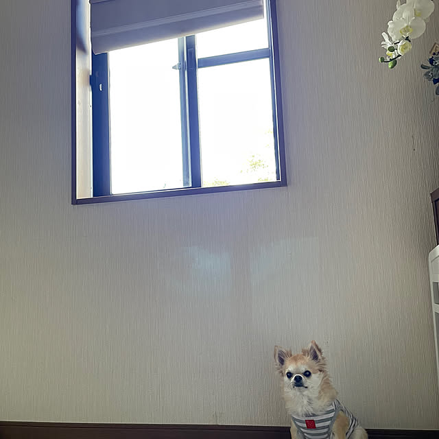natsumiさんの部屋