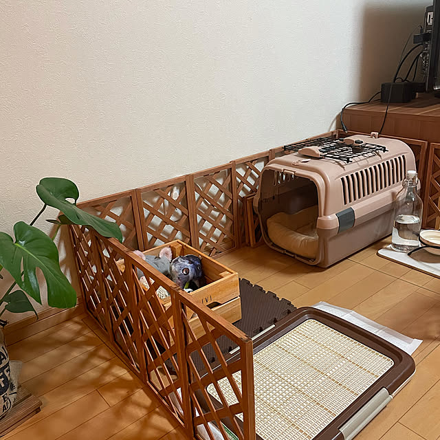 masahantaさんの実例写真