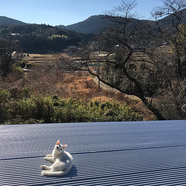 sakurasakuさんの実例写真