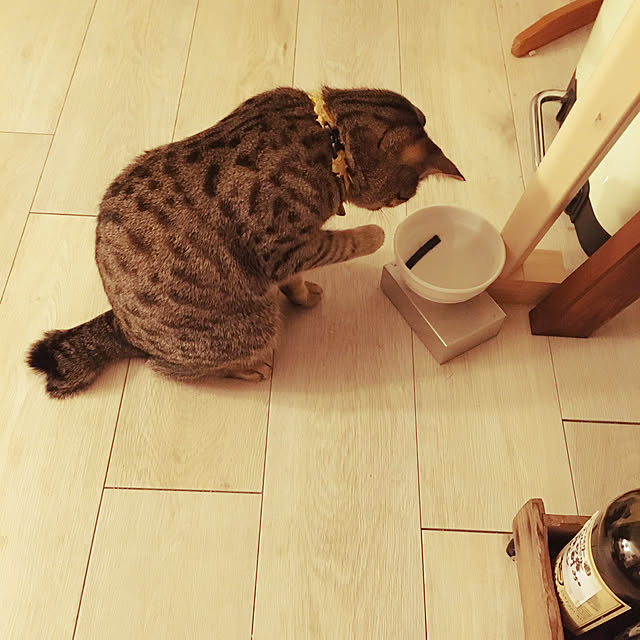 Mさんの実例写真