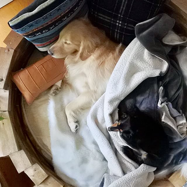 tomowithdogさんの実例写真