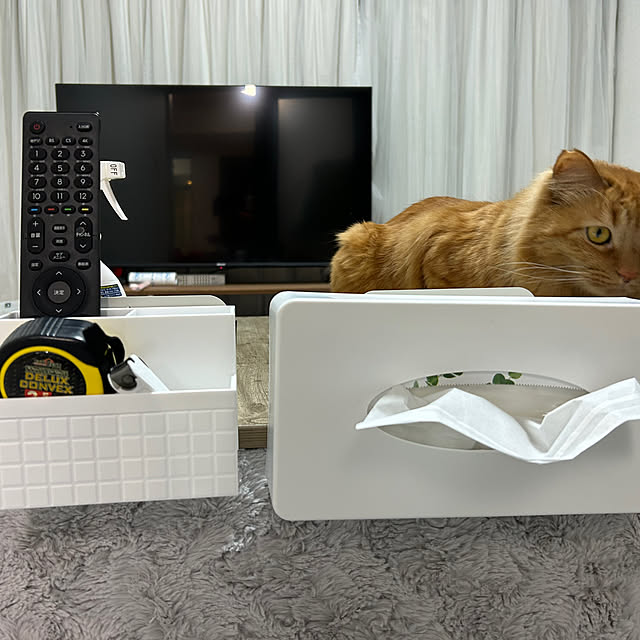 misakiさんの実例写真