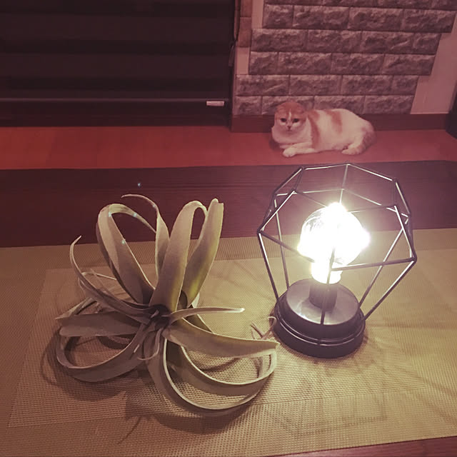 kaorinさんの実例写真