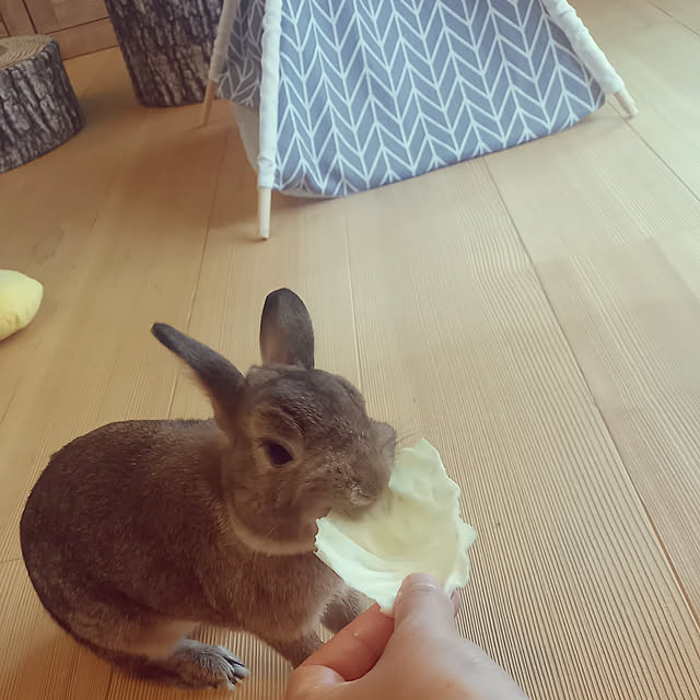 Taku38さんの実例写真