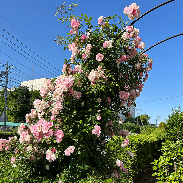 shabby666さんの部屋