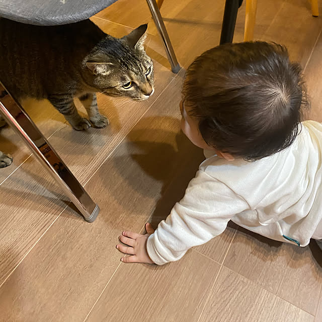 mikomaruさんの実例写真