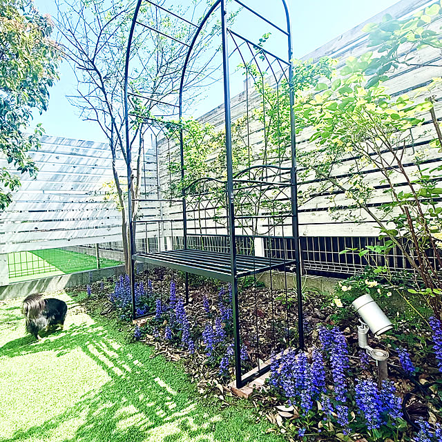 countryさんの部屋