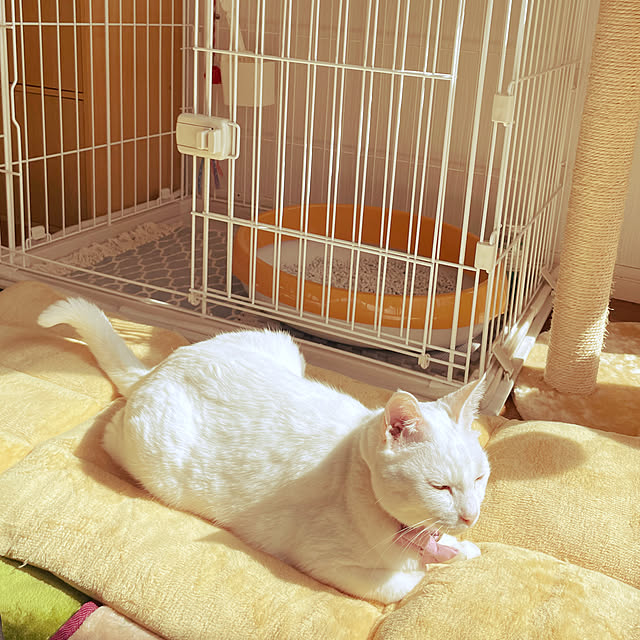 Maiさんの部屋