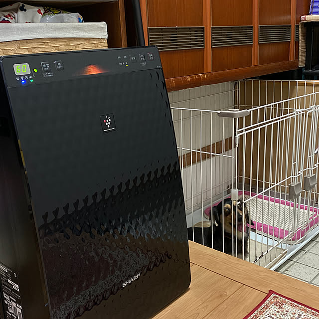 kiyoさんの実例写真