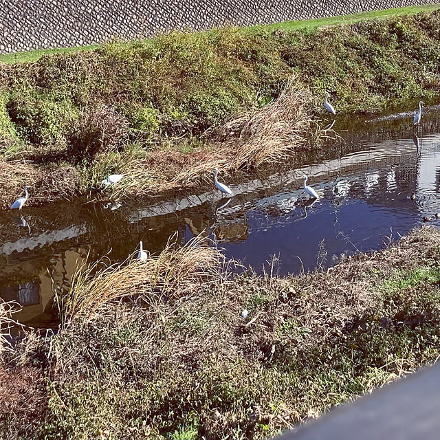 madamkaoriさんの部屋