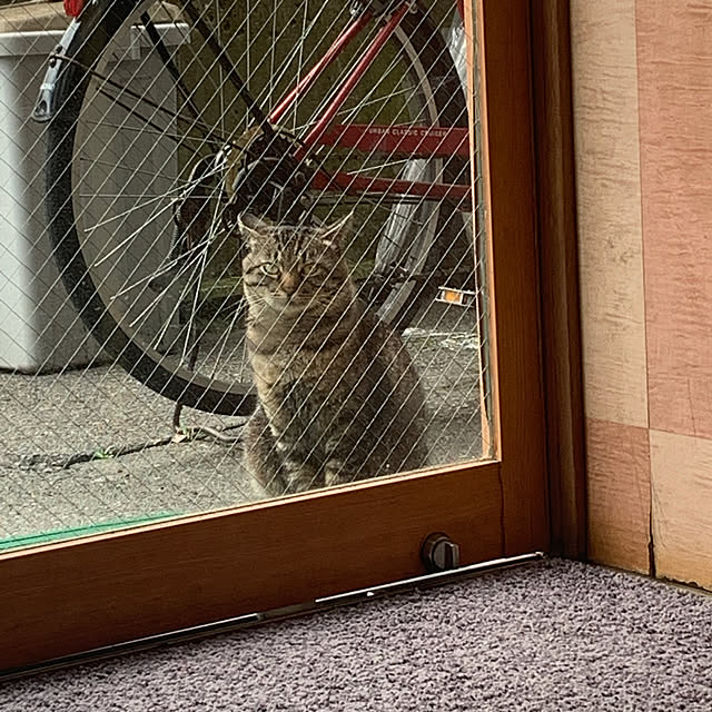 keiさんの実例写真