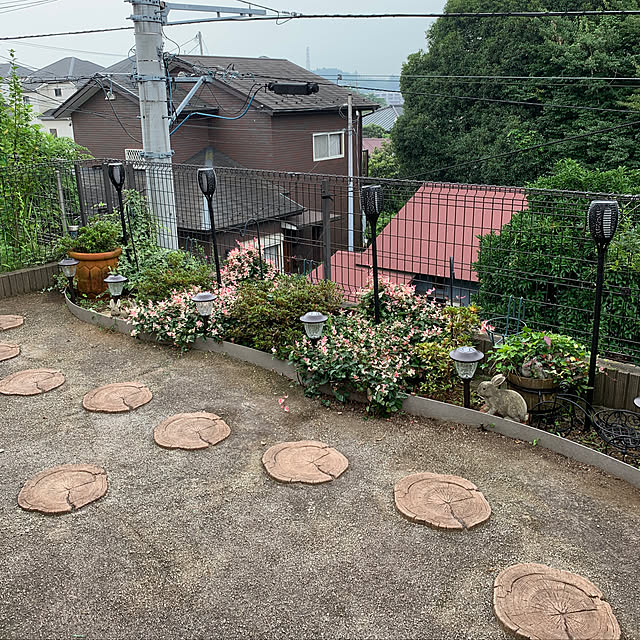 kiyomiさんの実例写真