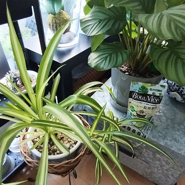 jinさんの部屋