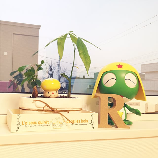 実例写真