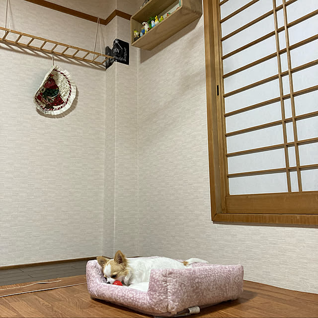 toratanさんの実例写真