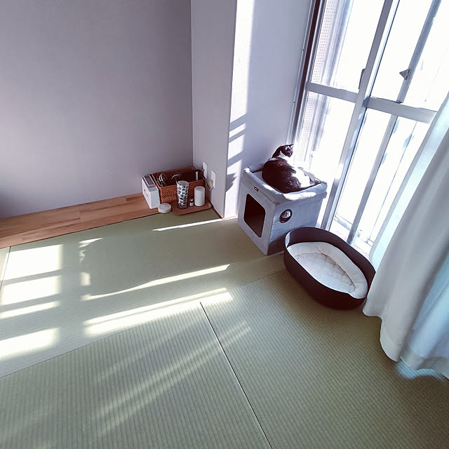 hihaさんの実例写真