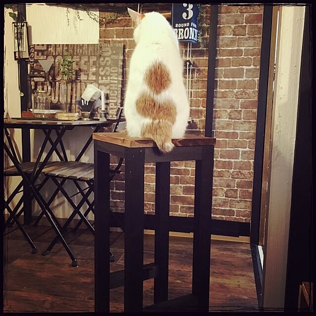 Mayuさんの実例写真