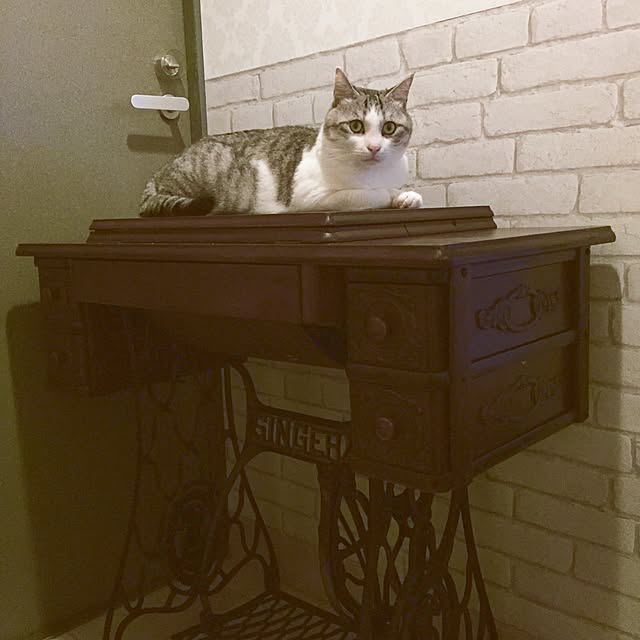 emmyyさんの実例写真