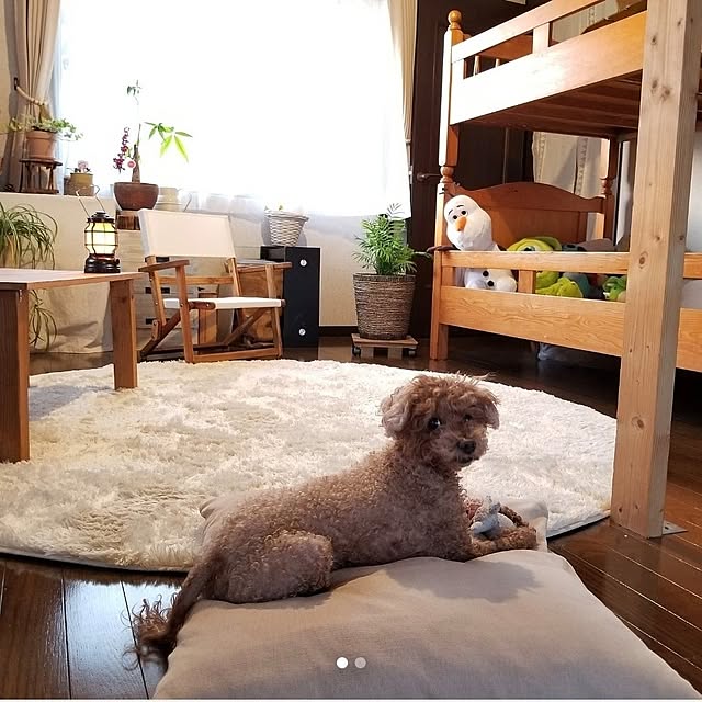 midoriさんの部屋