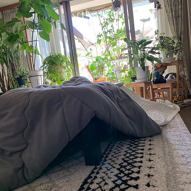 Aqettyさんの部屋