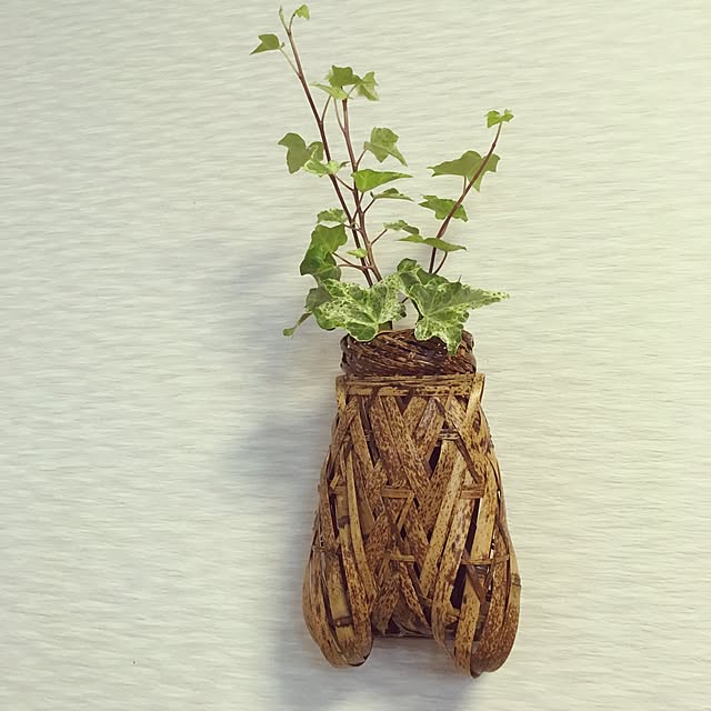 naonaoさんの実例写真