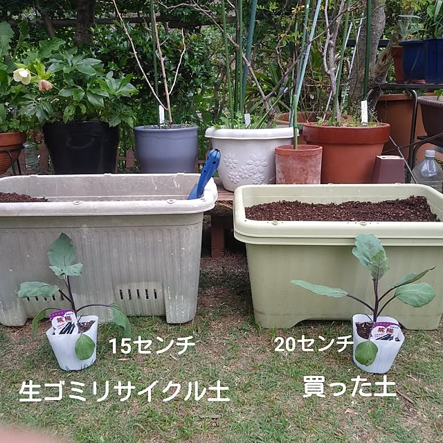 amiさんの部屋