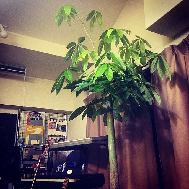wonkiさんの実例写真