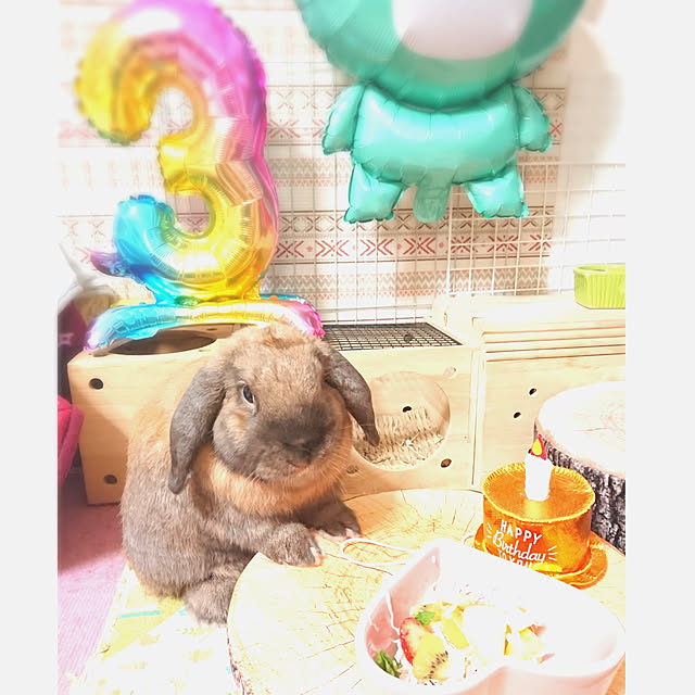 mariaさんの実例写真