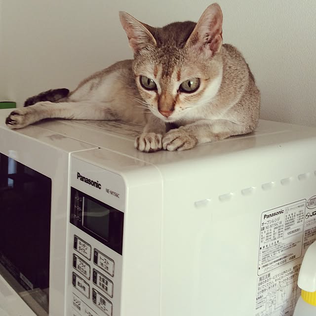 miikoさんの実例写真