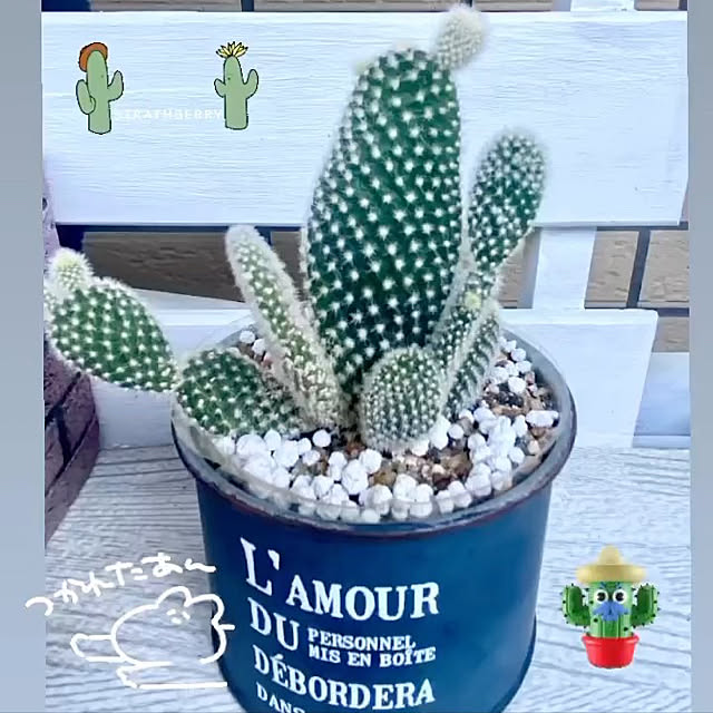 YuuKoさんの実例写真