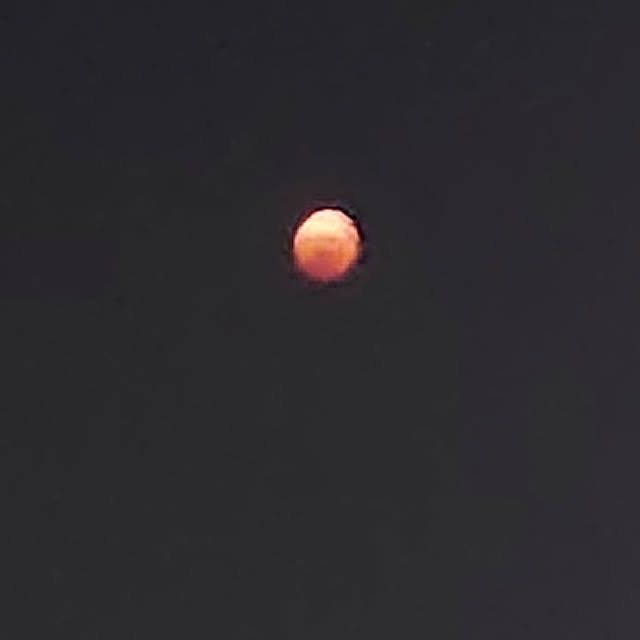 壁/天井/皆既月食2022のインテリア実例 - 2022-11-08 19:45:04